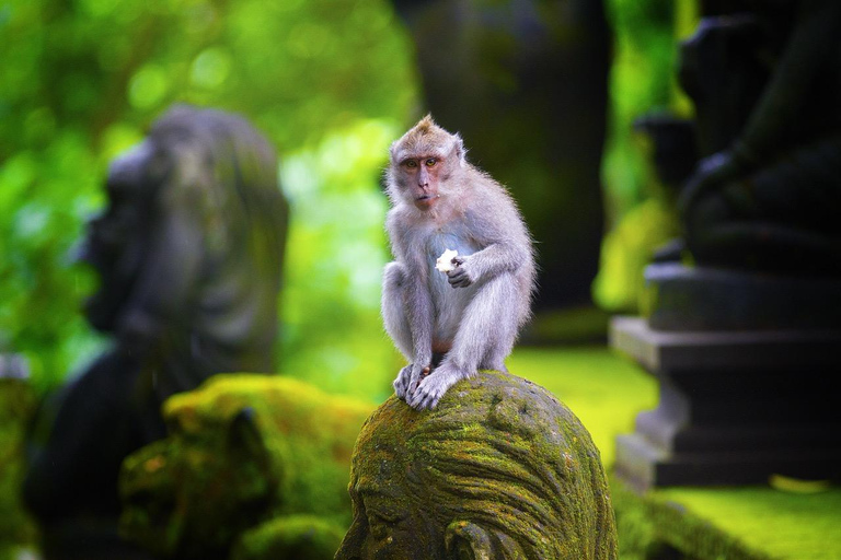 Ubud: Waterfalls, Water Temple & Monkey Forest Shared Tour Shared-Group Tour with Hotel Transfer