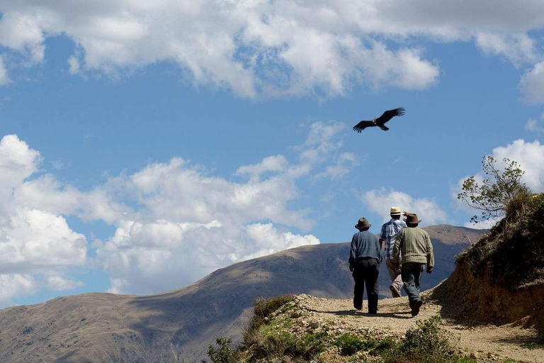 Cusco: Utflykt till Chonta Canyon, Tarawasi och Killarumiyoq