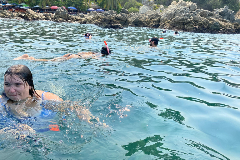 Puerto Escondido: Bootstour zu Delfinen und MeerestierenPrivate Tour