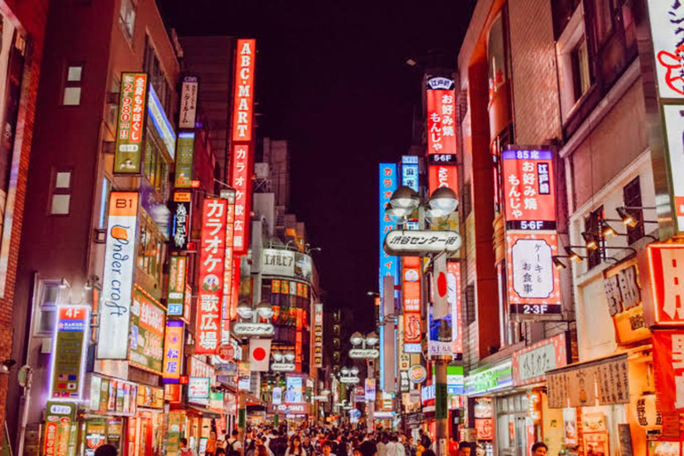 Tokio: Dagvullende tour met Engelssprekende chauffeur