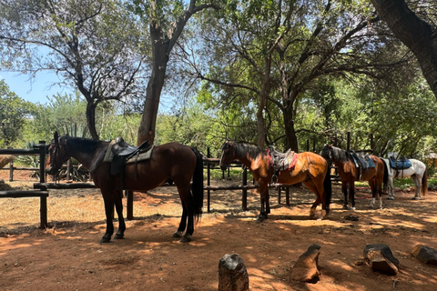 Au départ de Johannesburg : Safari à cheval