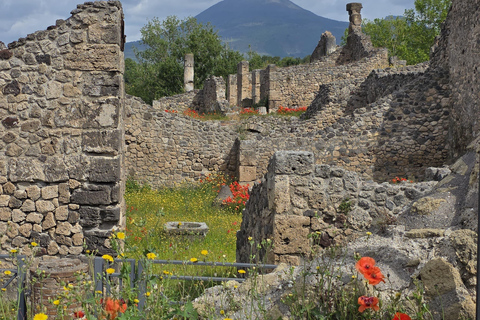 Naples: Pompeii Group Tour with Wine Tasting & Light Lunch Semi-Private Group up to 8 people