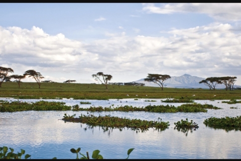 Nairobi Day Trip To Crescent Island Game Park -Lake Naivasha