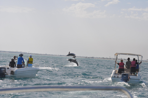 Djerba: Half-Day Boat Trip, Dolphin Watching, Swimming, and Lunch