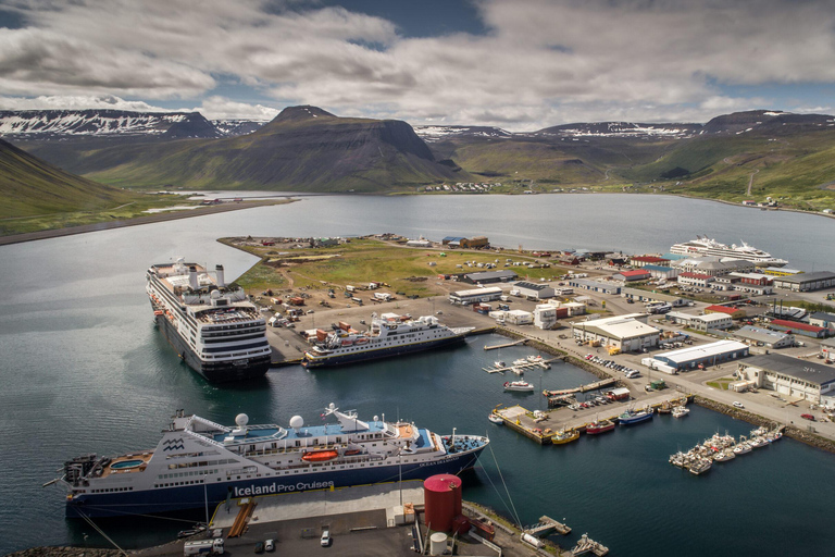 Ísafjörður: Seal Colony, Avalanche Town & Fjord Views Tour