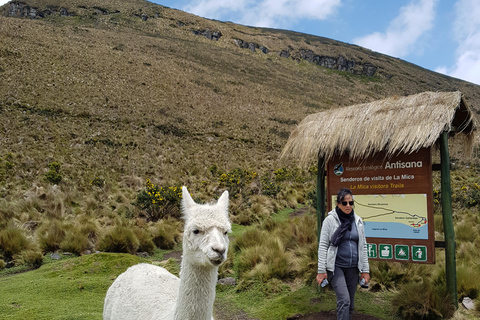 Aventure d&#039;observation du condor : Circuit au départ de Quito