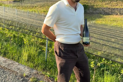 Interlaken: Wine & Cheese Tasting at Spiez Castle Vineyards