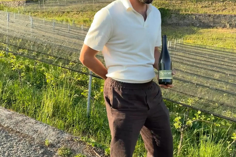 Interlaken: Wine & Cheese Tasting at Spiez Castle Vineyards