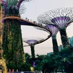 Gardens by the Bay - OCBC Skyway, Flower Dome e Cloud Forest