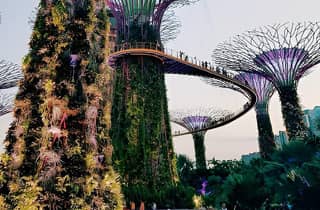 Gardens by the Bay – OCBC Skyway, Blumenkuppel und Nebelwald