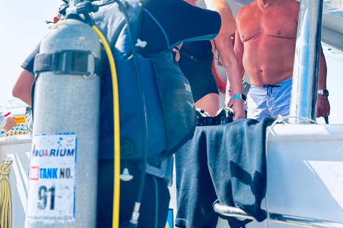 Sharm: Small Group White Island & Ras Mohammed Boat Cruise Small Group White Island & Transfer, without Snorkel Gear