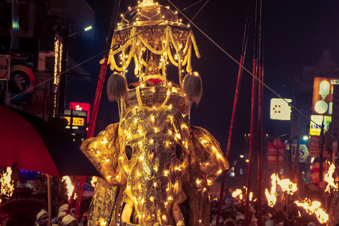 Dagstur från Colombo till Kandy, Pinnawela och tefabriken