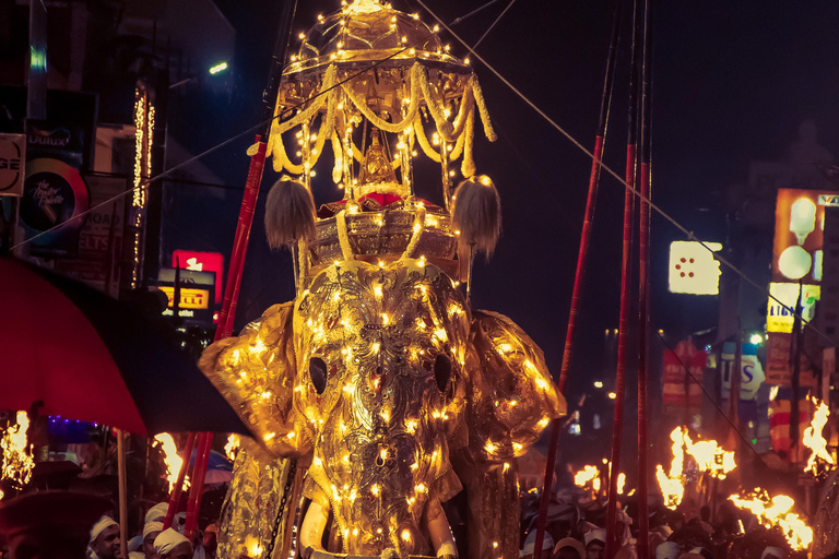 Dagstur från Colombo till Kandy, Pinnawela och tefabriken