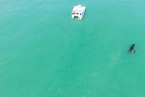 Excursión en catamarán con iguanas y snorkel