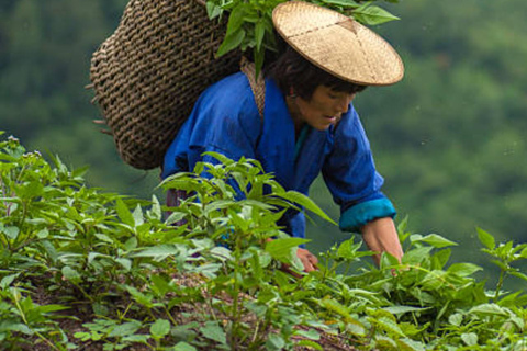 Bhutan: 5-Day Spiritual Ascent Tour with Homestay