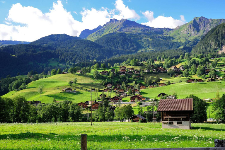 Lucerne : Interlaken et Grindelwald Excursion d'une journée dans les Alpes suisses