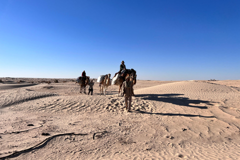 Expédition au Sahara : Trekking à dos de chameau et bivouac pour 2 personnes