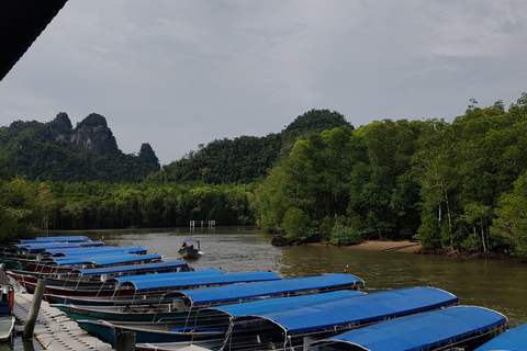 夜间红树林之旅（含导游和烧烤自助餐）夜间野生动物园红树林之旅（含导游和烧烤自助餐）