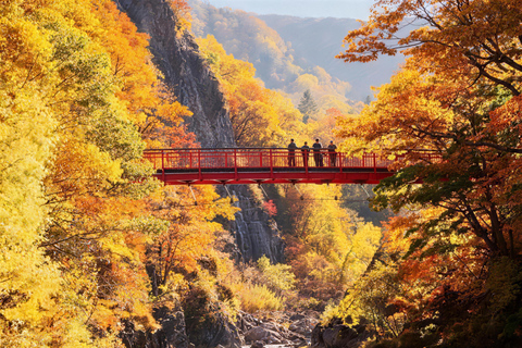 Sapporo: Hill of the Buddha, Lake Toya & Hell Valley Day Tour Only (No Tickets)