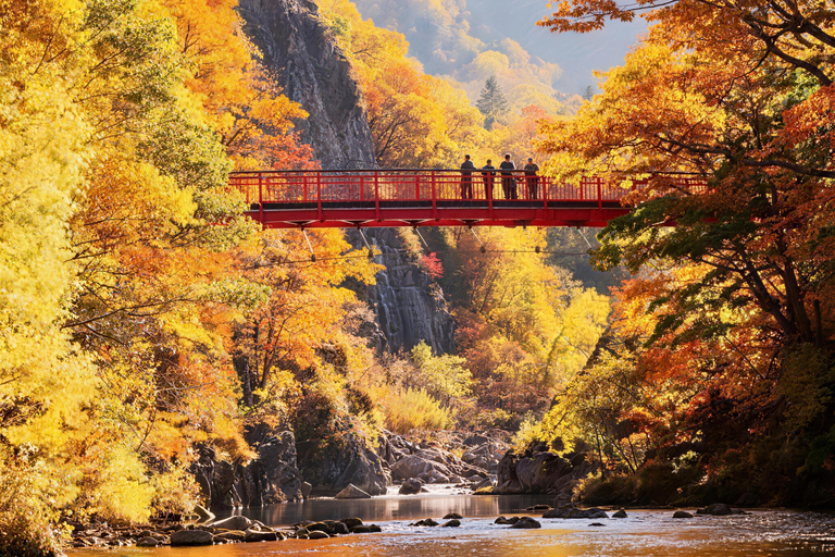 Sapporo: Hill of the Buddha, Lake Toya & Hell Valley Day Tour Only (No Tickets)