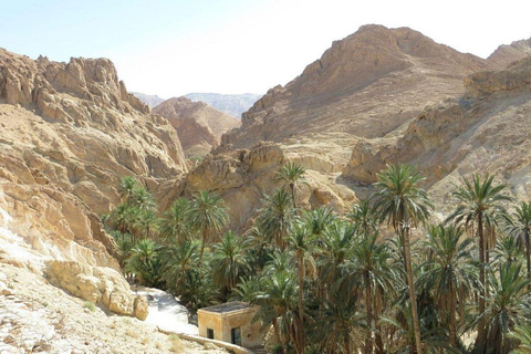 From Tunis: Sfax Overnight Trip with Hotel Stay