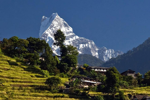 Kathmandu: trekking di 6 giorni a Ghorepani, Poonhill e GhandrukTour privato del trekking con pasti inclusi.