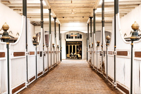 Amsterdam: The 'Hollandsche Manege' Stables Entry Ticket De Hollandsche manege: Visit 142yr old monumental stables