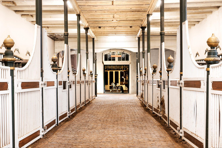 Amsterdam: The 'Hollandsche Manege' Stables Entry Ticket De Hollandsche manege: Visit 142yr old monumental stables