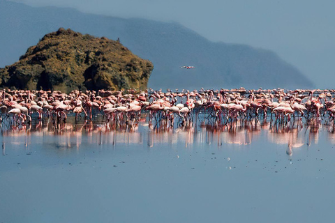 Dagsutflykt till Lake Natron