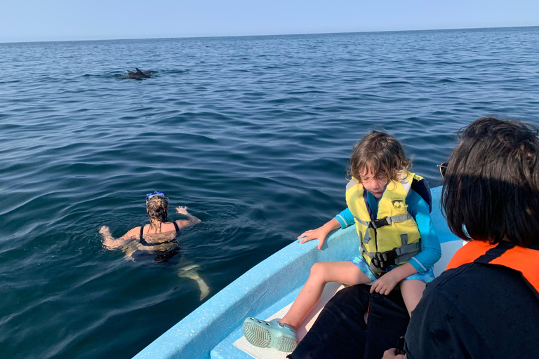 Puerto Escondido: Bootstour zu Delfinen und MeerestierenPrivate Tour