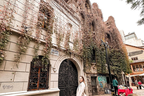 Santiago: Walking Tour with Bilingual Guide