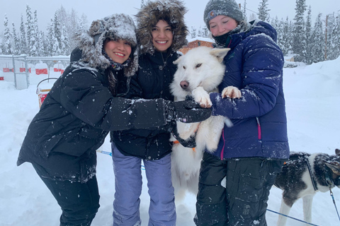 Fairbanks: Dog Sledding and Mushing Experience