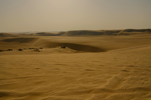 Doha: Sunset Desert Safari, Dune Bashing with dinner at Souq