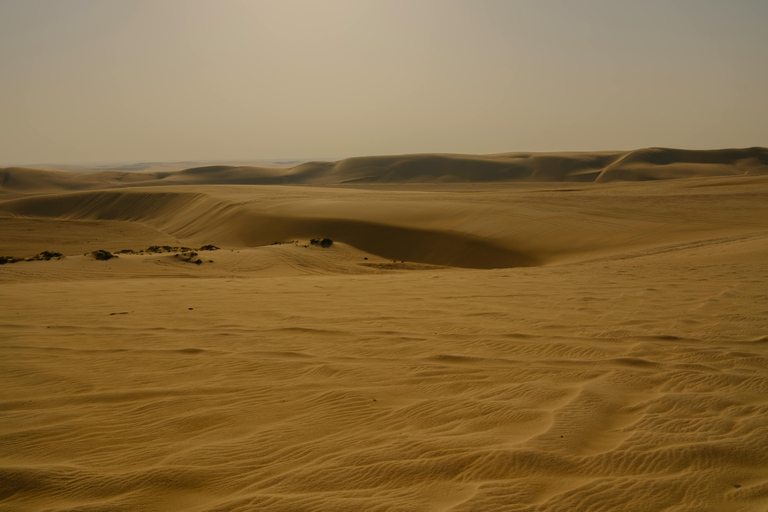 Doha: Sunset Desert Safari, Dune Bashing with dinner at Souq