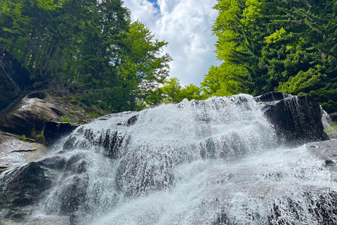 Watervallen Tour vanuit Sarajevo: Wandeling en Bosnische Lunch