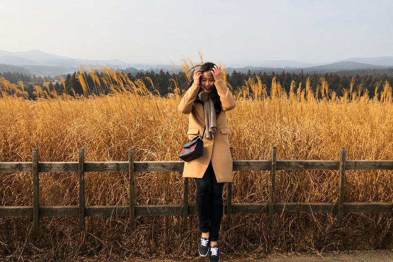 Jeju: Udo Island, Seongsan & Tangerine Picking Tour