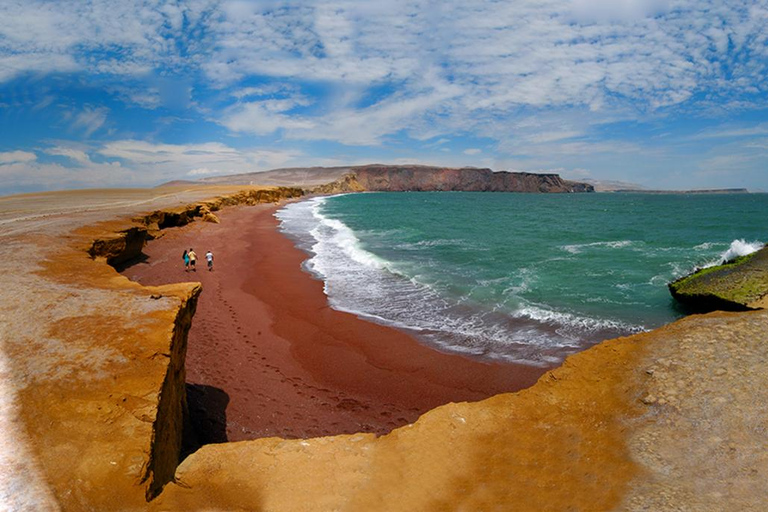 Adventure in the Paracas Dunes: Explore on Buggys or ATVs!