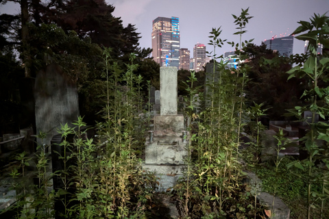 Tokio: Crimen Verdadero y Fantasmas, tour nocturno (3 horas)