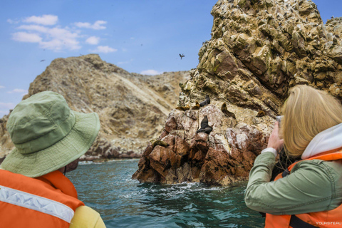 Islas Ballestas Giornata intera