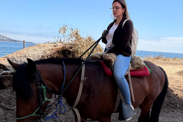 From Santiago: Papudo Lobos Island Boat & Horseback Ride