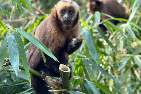 Cusco: 4-Day Manu National Park Tour