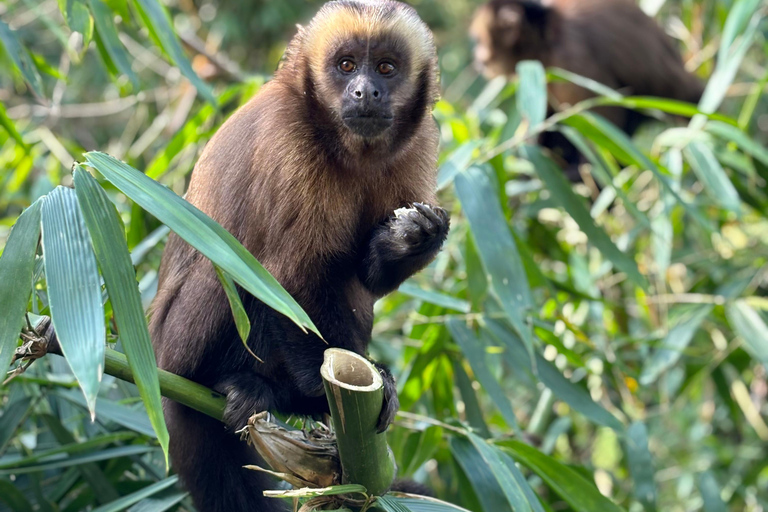 Cusco: 4-Day Manu National Park Tour