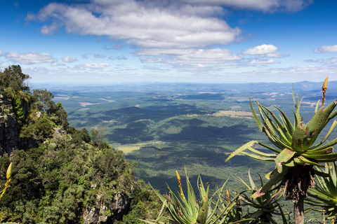 Johannesburg: 4-dagars Kruger National Park och Blyde River C