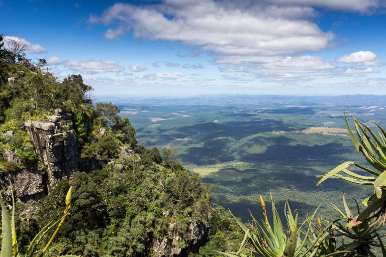 Johannesburg: 4-Day Kruger National Park and Blyde River C