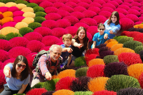 Ninh Binh Small Group Of 9 From Hanoi Via Incense Village