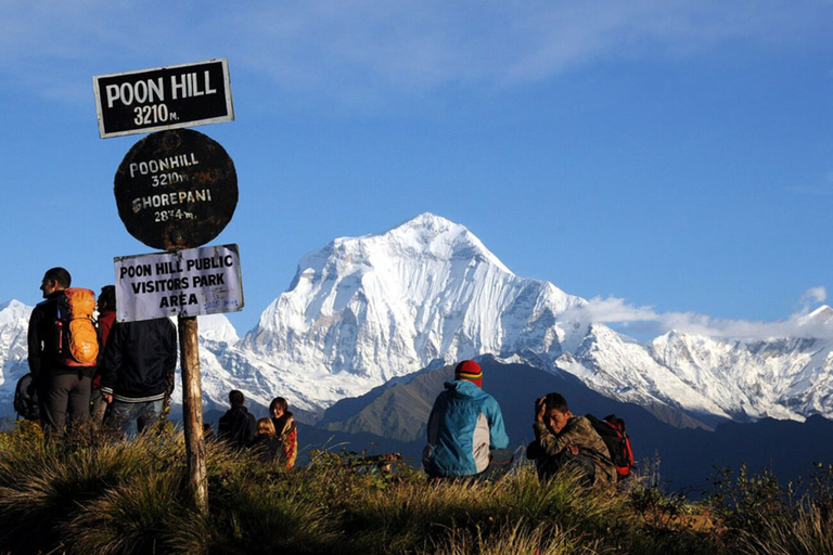 Pokhara : 3 jours de trek à Ghorepani Poon Hill avec chambre et repas