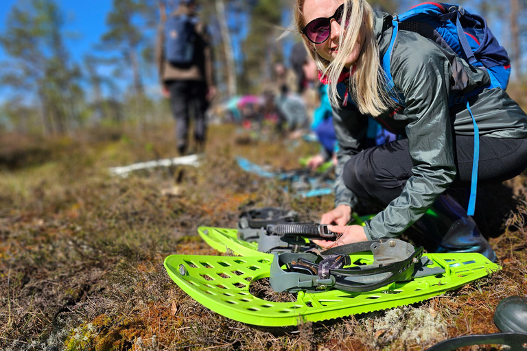 Ķemeri Bogs Adventure: Explore Wetlands In Bog Shoes