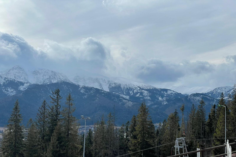 Krakow: Zakopane Buggy, Quad or Snowmobile Tour & Treetop Tour + Buggy for 2 people