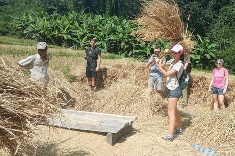 Chiang Mai: 2-dagars djungelvandring med elefantfarm och forsränning