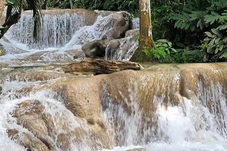 Mount Zion Cultural & Spiritual Tour | Montego Bay Private transportation from Montego Bay
